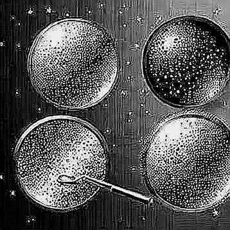 The Trump Assassination Threat: A Liquidity Trap Dressed as Geopolitical Risk The Trump Assassination Threat: A Liquidity Trap Dressed as Geopolitical Risk