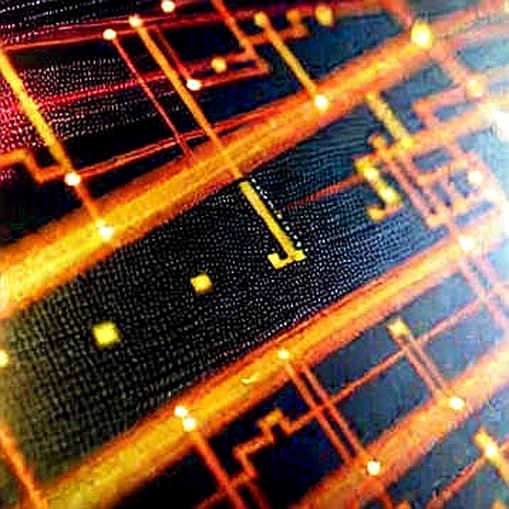 The Null Report: When Missing Data Becomes the Loudest Signal